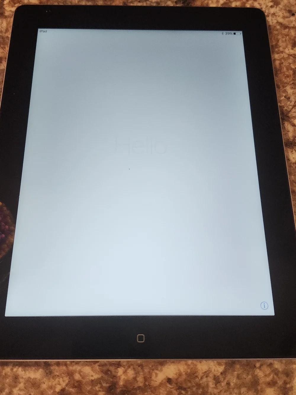 Apple iPad Silver Tablet - Sleek Silver Finish